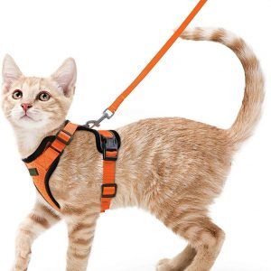 Coleira para gato  caminhar,  ajustáveis,  a prova da fuga para o gato, revestimento reflexivo.